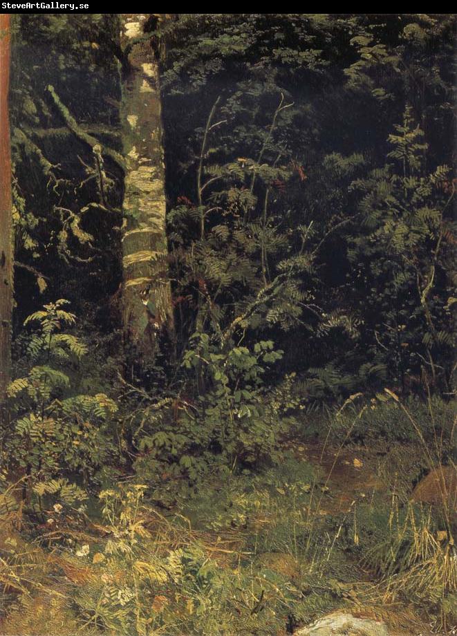 Ivan Shishkin Silver birch and mountain ash